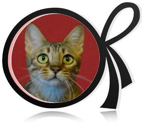 Pension pour chats Val-de-Marne