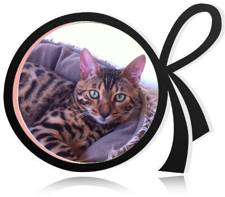 Pension pour chats Val-de-Marne